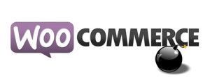error en woocommerce